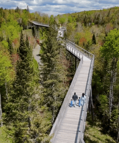 ziplining 