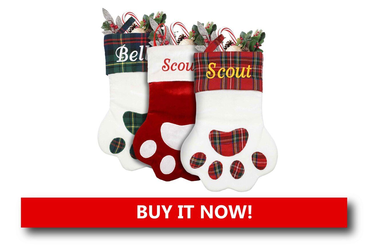 Custom Holiday Stockings for Pets Alt text: A red and green pet stocking embroidered with a dog’s name and paw print, hanging on a fireplace mantle among other family stockings.