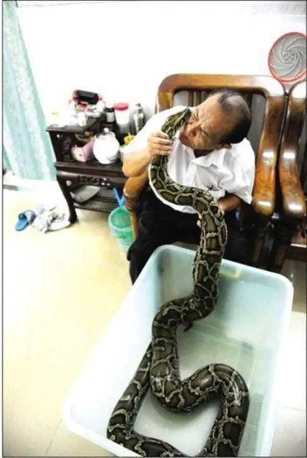 shi-jiming-python-600x895