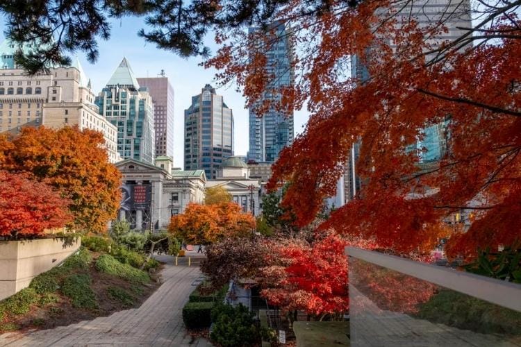 vancouver court house in fall