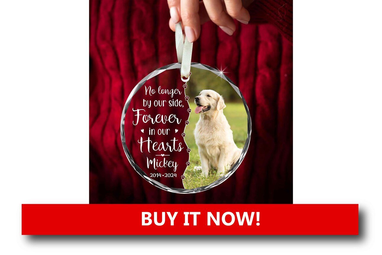 Pet Portrait Ornaments Alt text: A round ceramic Christmas ornament featuring a custom pet portrait and the pet’s name, hanging on a festive tree branch with twinkling lights.