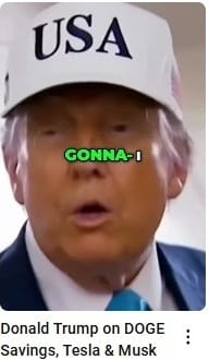 Donald Trump on DOGE Savings, Tesla & Musk