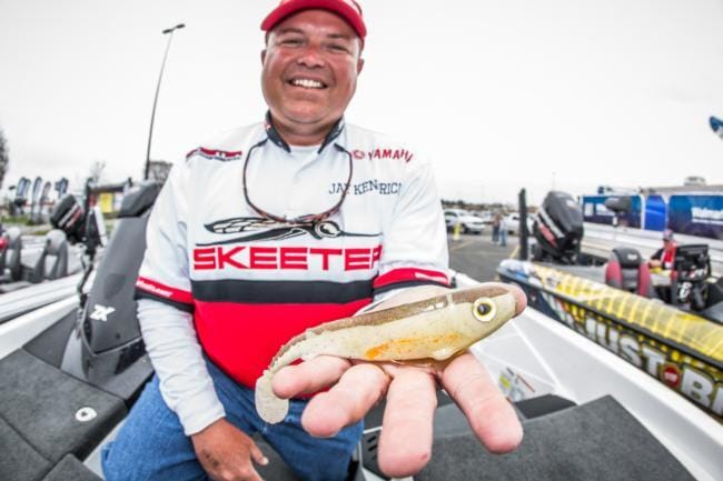 This is the Scottsboro Tackle Company swimbait that did the job for Jay Kendrick.