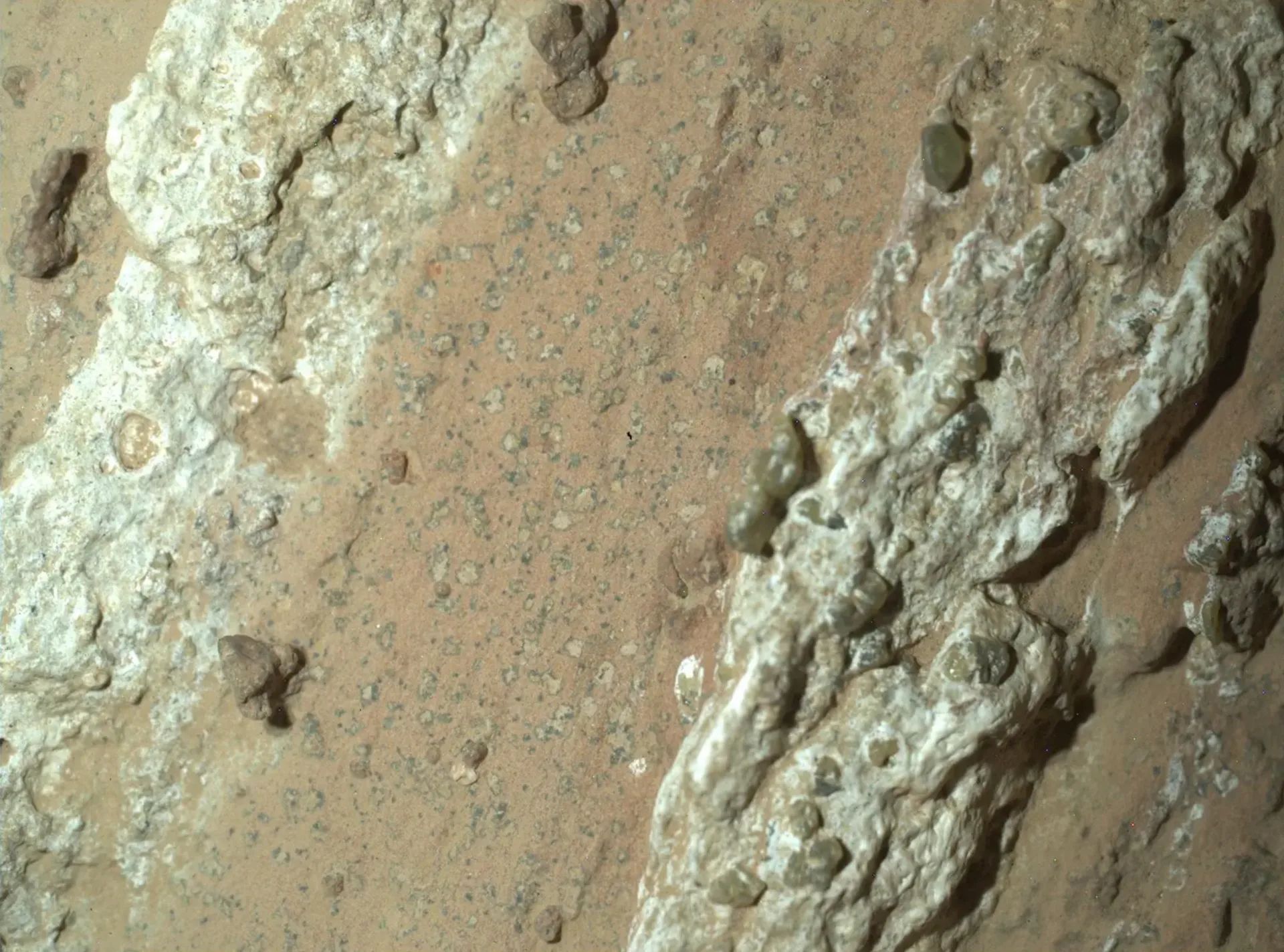Leopard Spot Patterns on Cheyava Falls Rock: Perseverance discovered distinct mineral patterns resembling leopard spots on the reddish Cheyava Falls rock in Jezero Crater in July 2024, possibly linked to ancient chemical reactions, billion sof years ago, that could have supported microbial life. However, scientists are considering other explanations as well. (Credit: NASA/JPL-Caltech/MSSS)