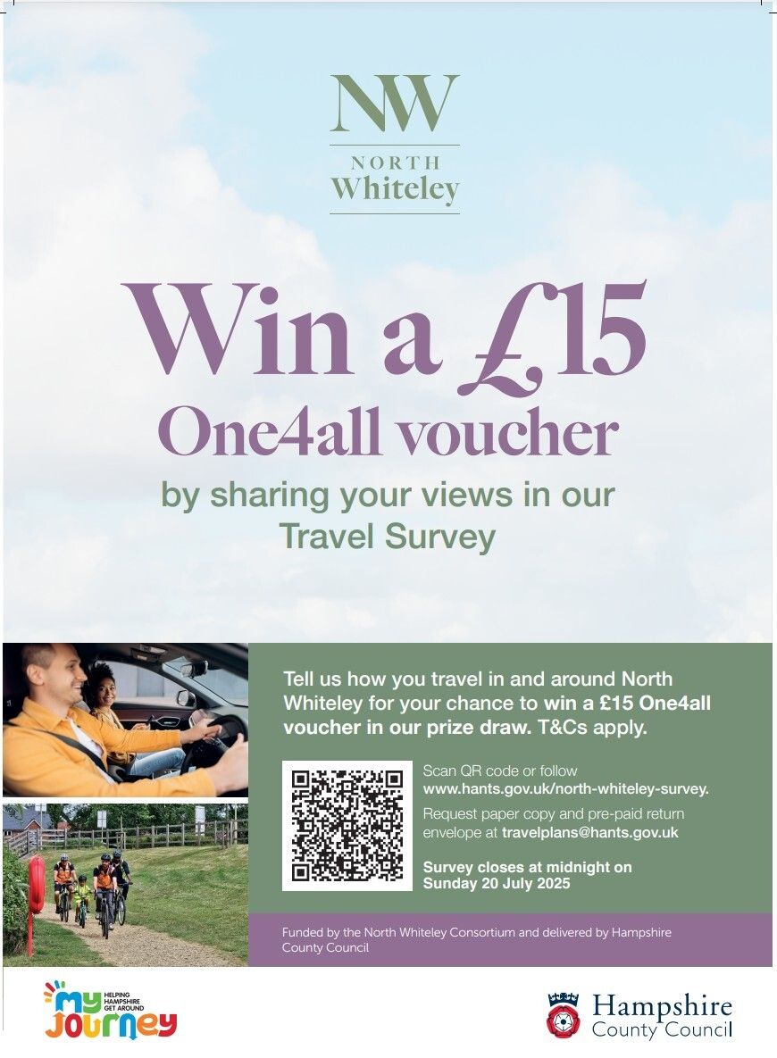 Travel survey flyer
