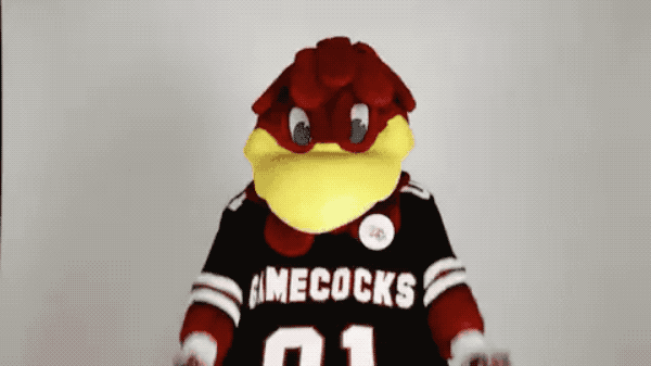 Gamecocks Mascot | South Carolina