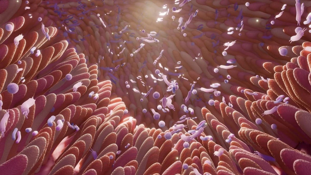 AI Maps Gut Bacteria's Chemical Chatte