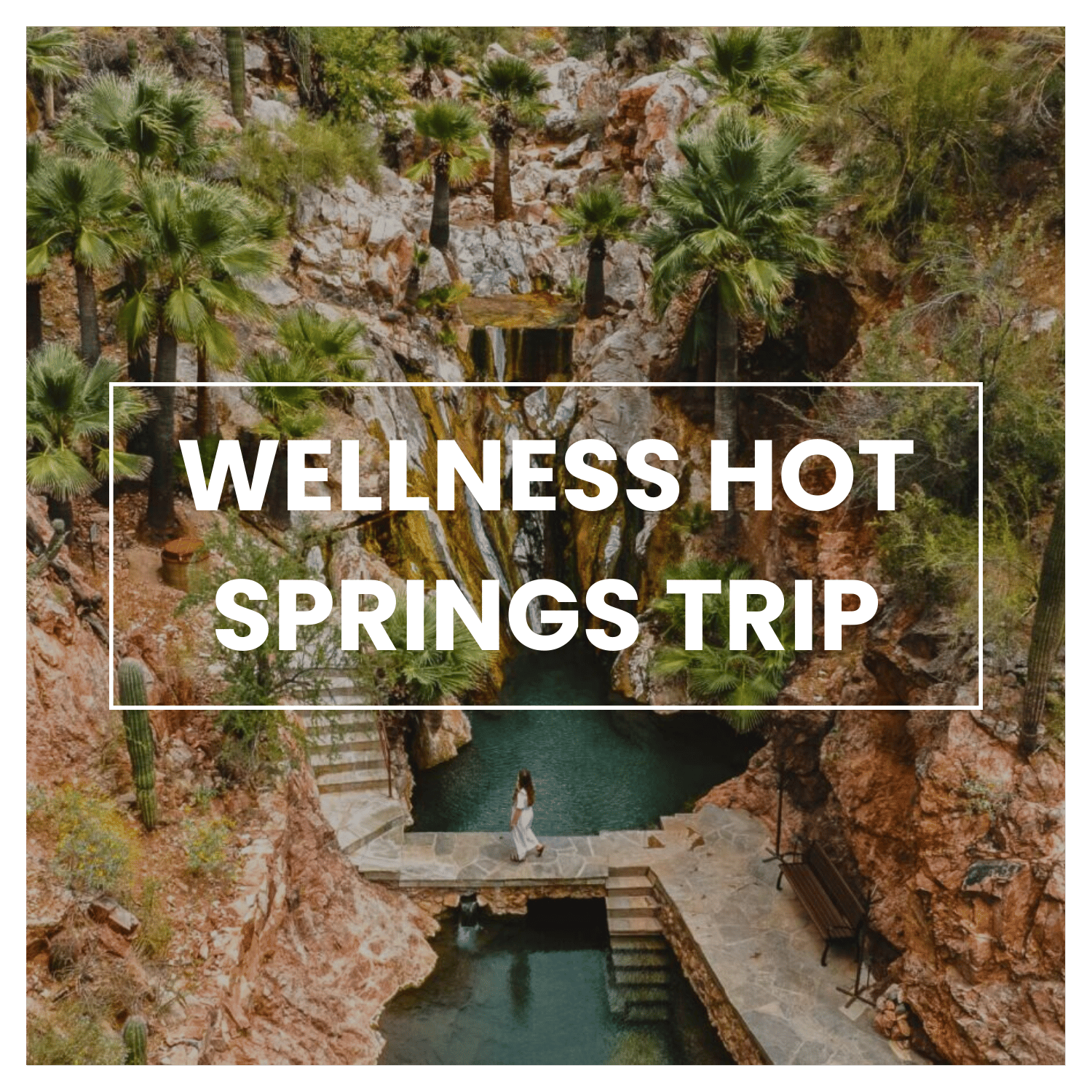 Dream Vacations: 'Me Time' at a Luxury Wellness Retreat