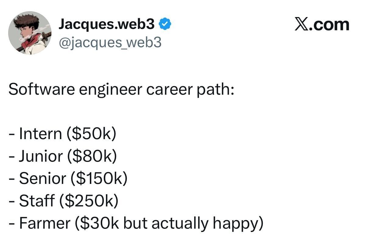 short squeez software engineer career path meme