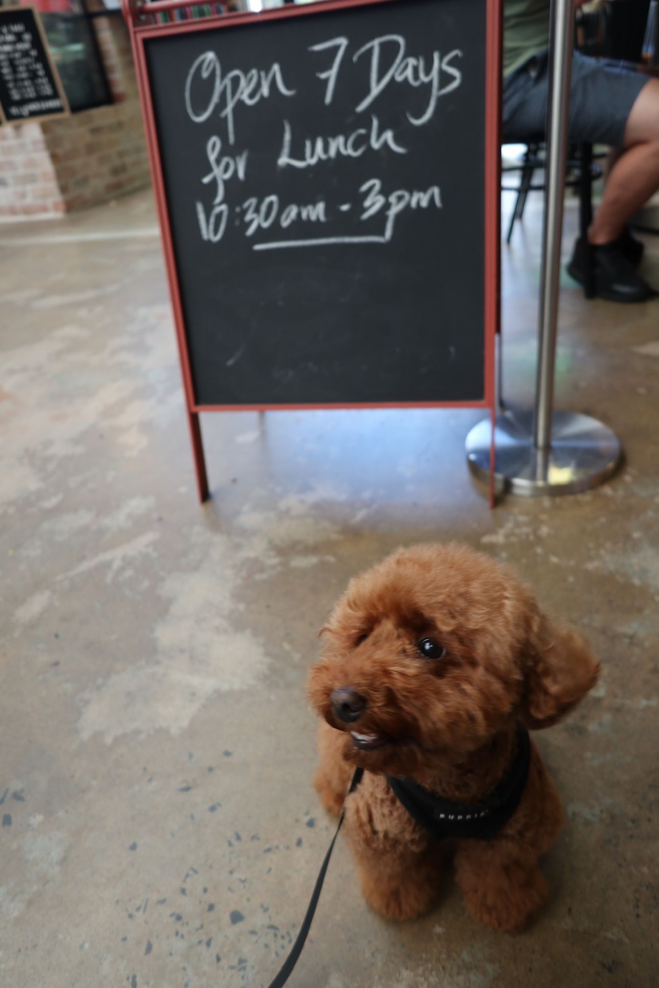 Luna with Opening Hours Signage