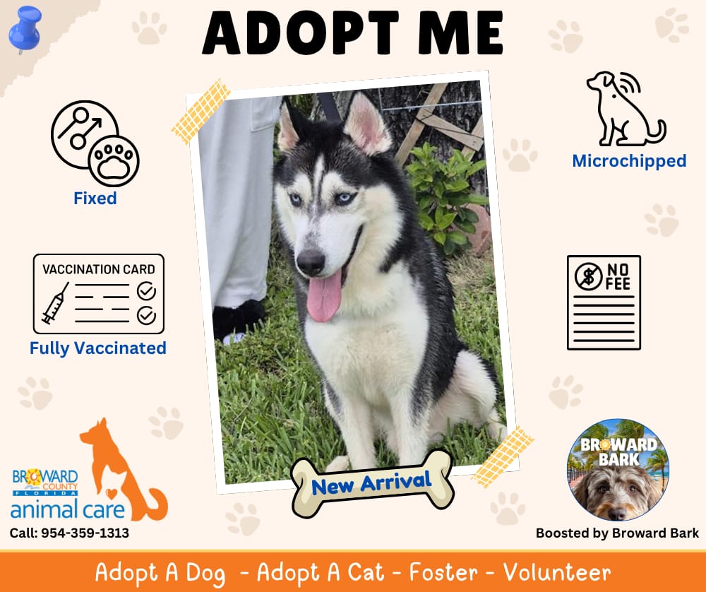 Broward County Animal Care