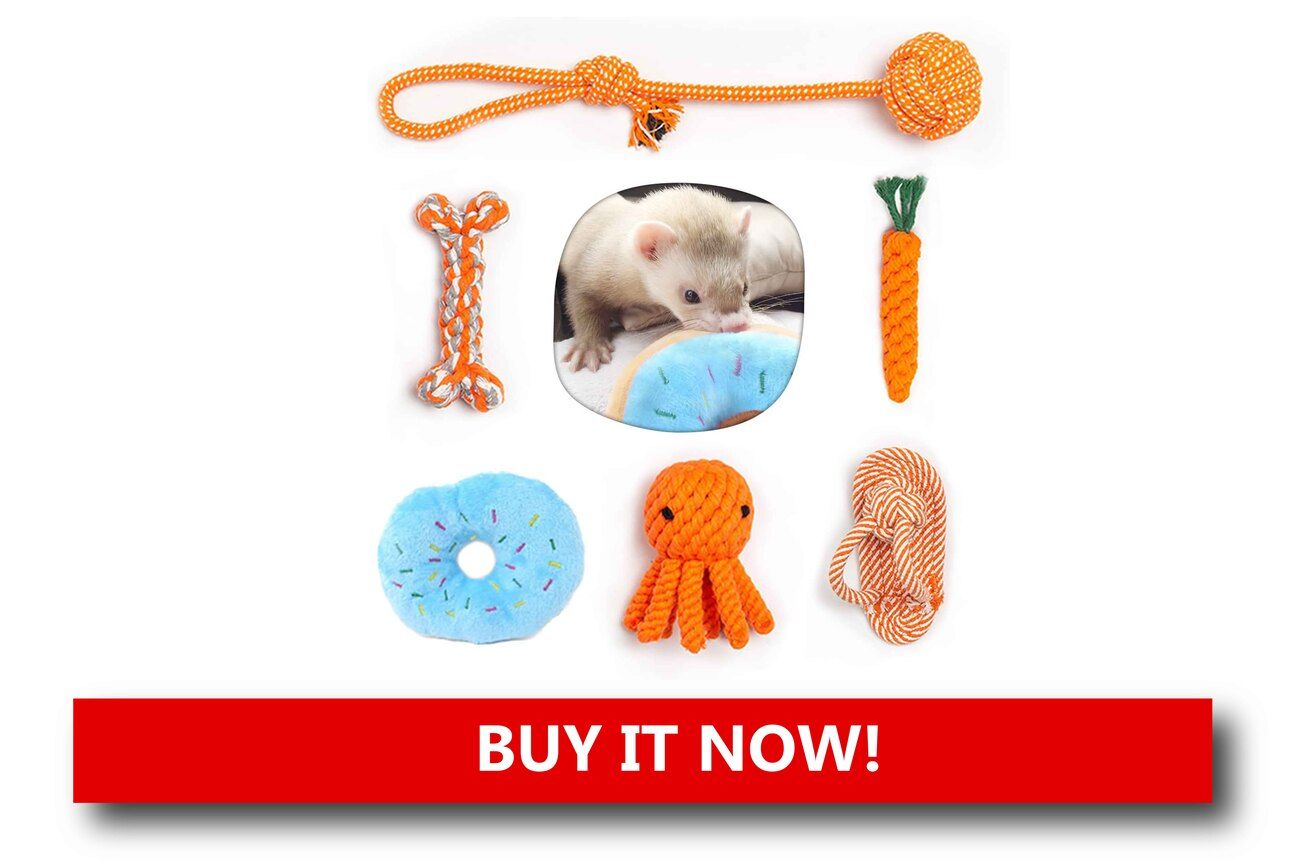 Enrichment Toy Bundle Alt text: A collection of small animal toys including rope knots, treat-dispensing balls, and plush animals, displayed around a playful ferret in action.