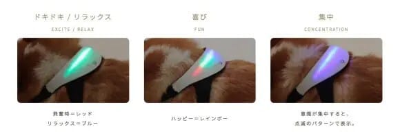 inupathy-08