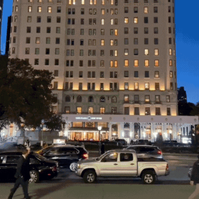 dog staying at the Plaza