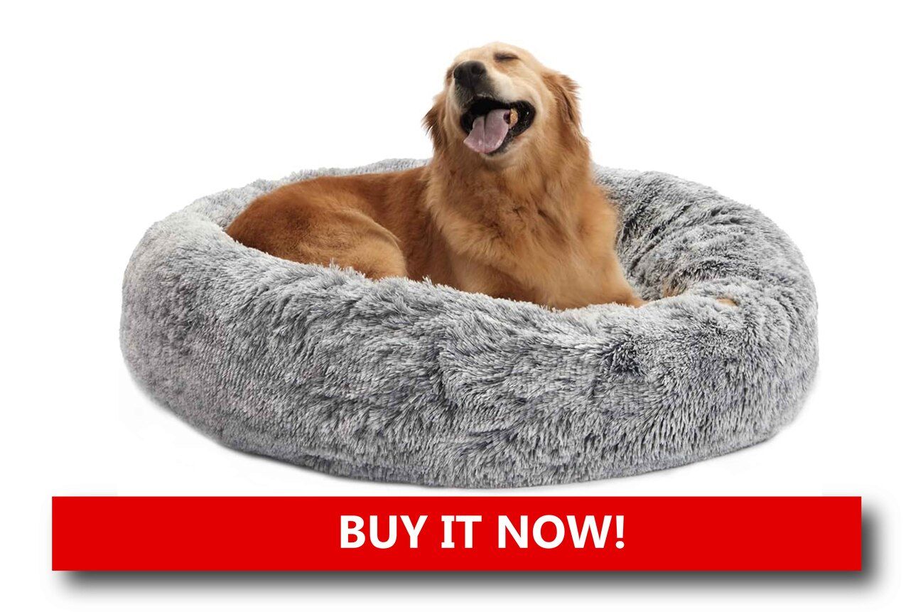 Faux-Fur Donut Pet Beds Alt text: A fluffy, circular donut-shaped pet bed with soft faux fur, placed by a fireplace with a small dog curled up peacefully inside.
