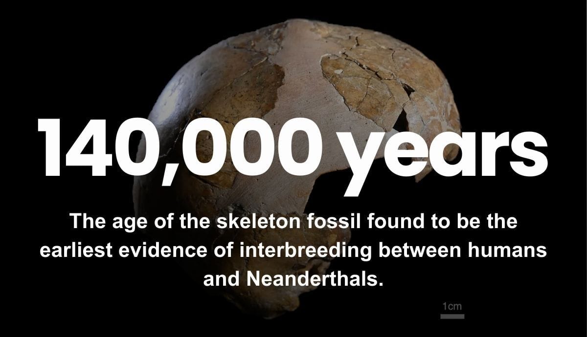 140,000 years - The age of the skeleton fossil found to be the earliest evidence of interbreeding between humans and Neanderthals.