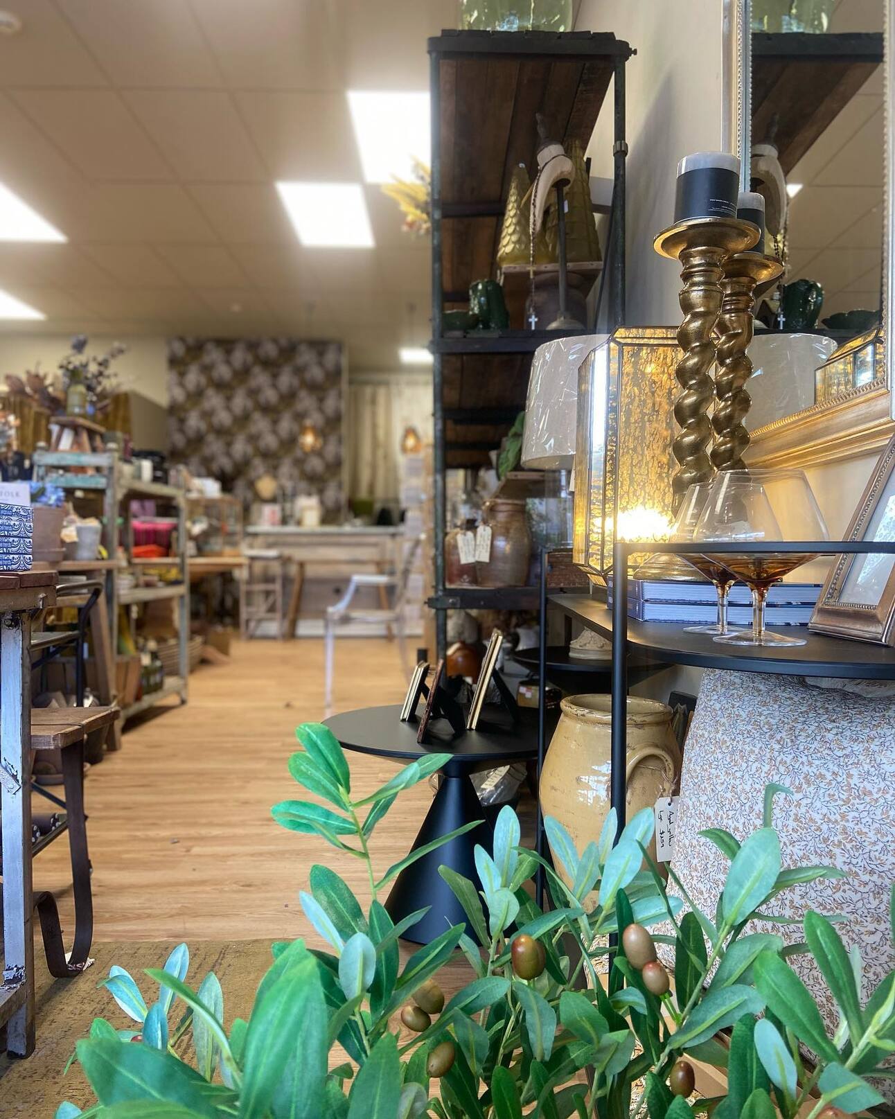 Madison Rose Boutique (131 Jackson St, Petone)