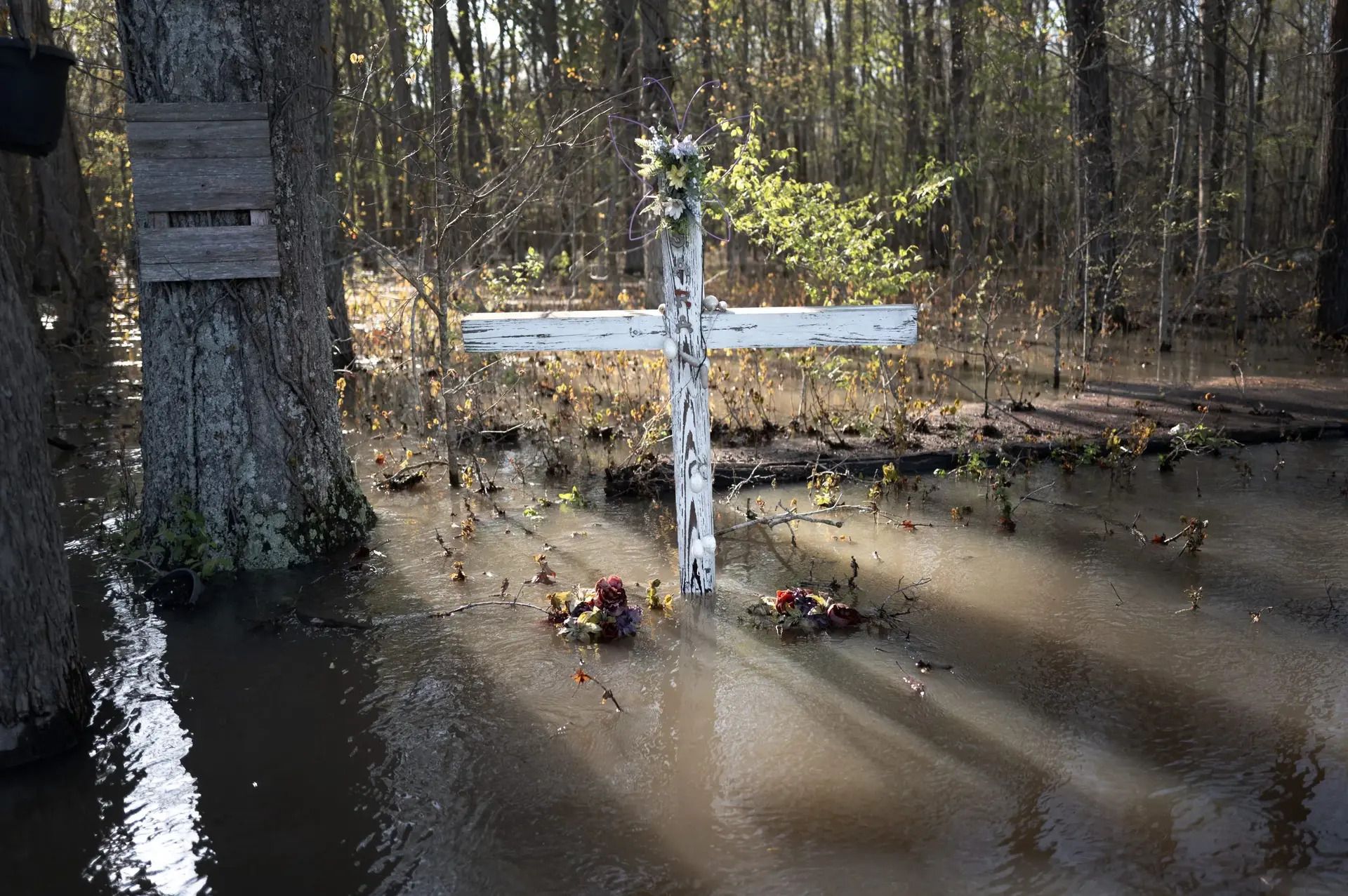 Floodwater surrounds a memorial to a car crash victim in Paducah. Kentucky, in April. The U.S. has experienced more flash flood warnings this year than at any time since records began in 1986, according to the National Weather Service. (Scott Olson/Getty Images)