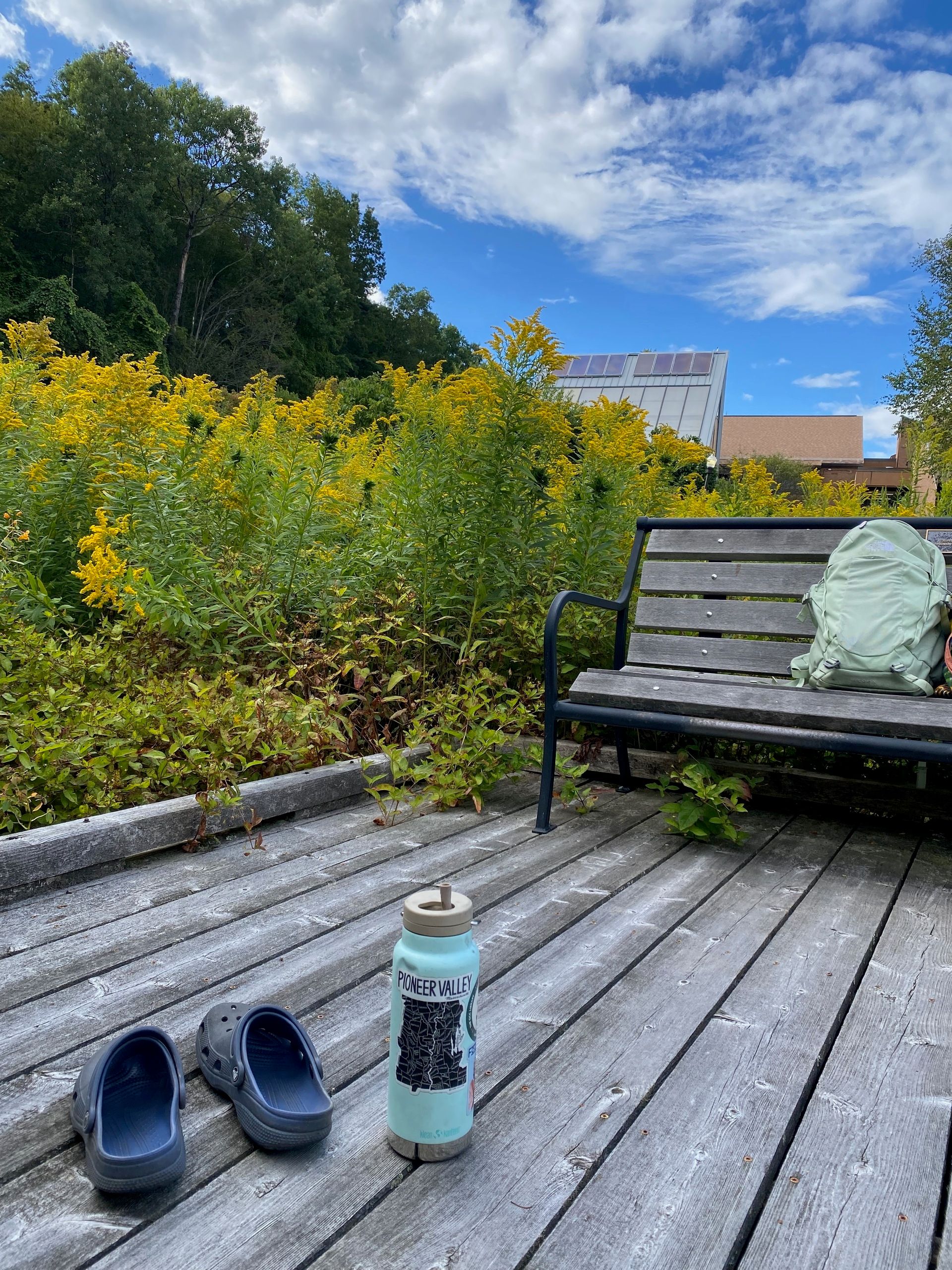 A boardwalk and bench in front of a huge stand of goldenrod. My backpack is on the bench and my crocs and water bottle are on the boardwalk.