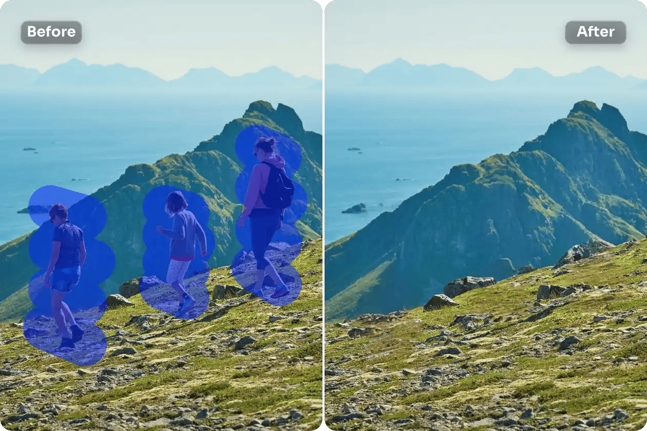 removal