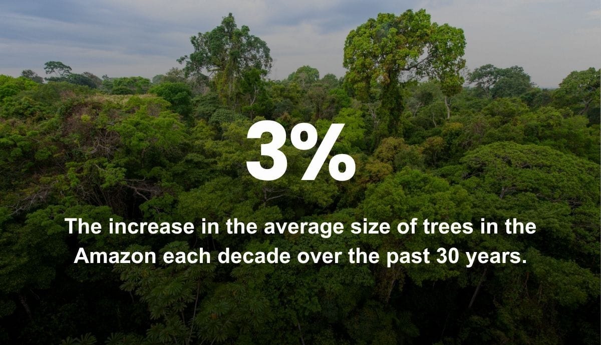 3% - The increase in the average size of trees in the Amazon each decade over the past 30 years.