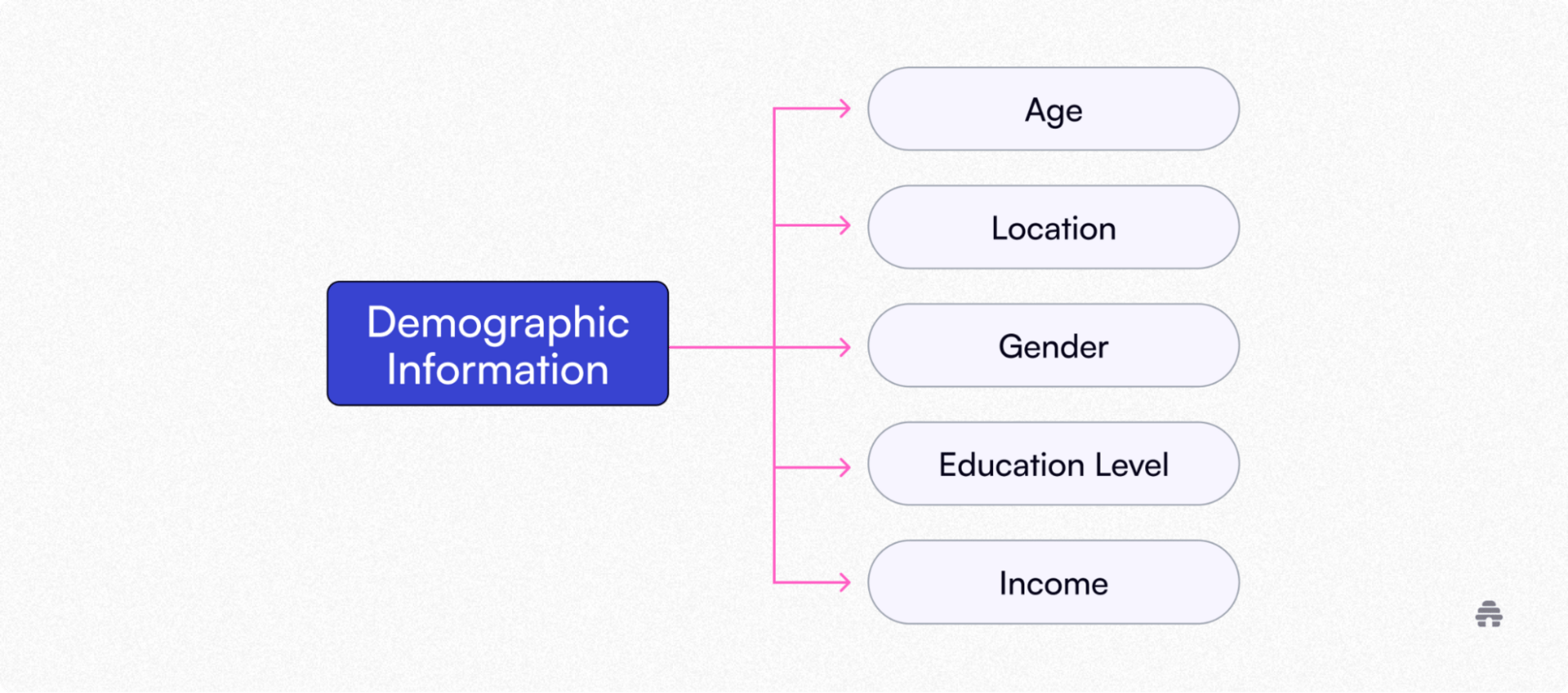 Diagram titled “Demographic Information” showing five key categories — age, location, gender, education level, and income — used for audience analysis or subscriber segmentation in a beehiiv marketing context.