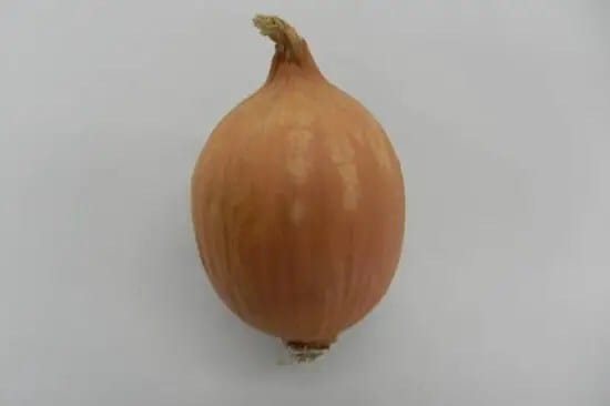 tear-free-onions
