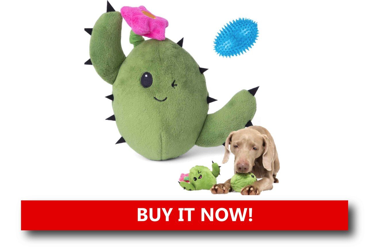 Calming Plush Toys Alt text: A plush teddy bear-style toy with a Velcro pouch for a heat pack, lying next to a resting puppy wrapped in a soft blanket.
