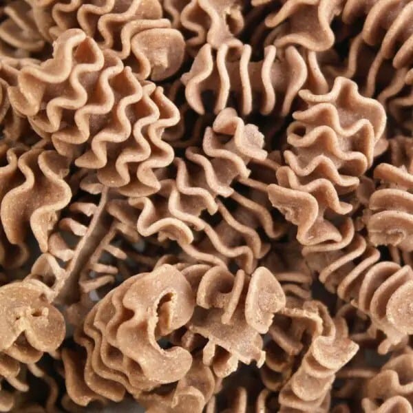 insect-pasta2-600x600