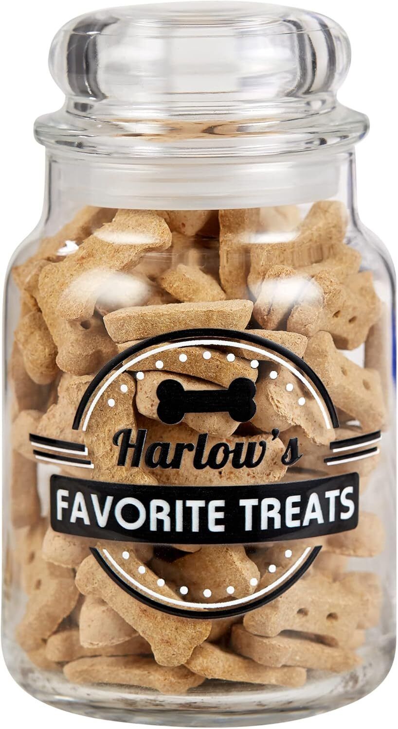Personalized Treat Jar A ceramic treat jar with a dog’s name in cursive writing, placed on a kitchen counter next to a jar of peanut butter treats and a happy dog looking up.
