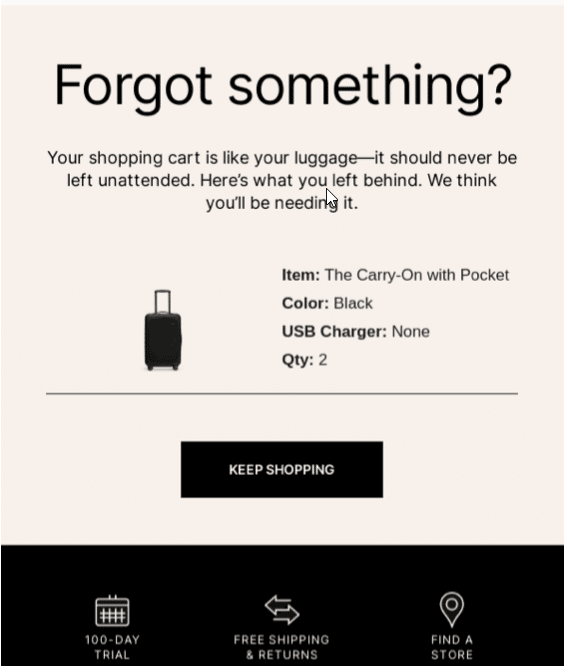 Abandoned Cart email