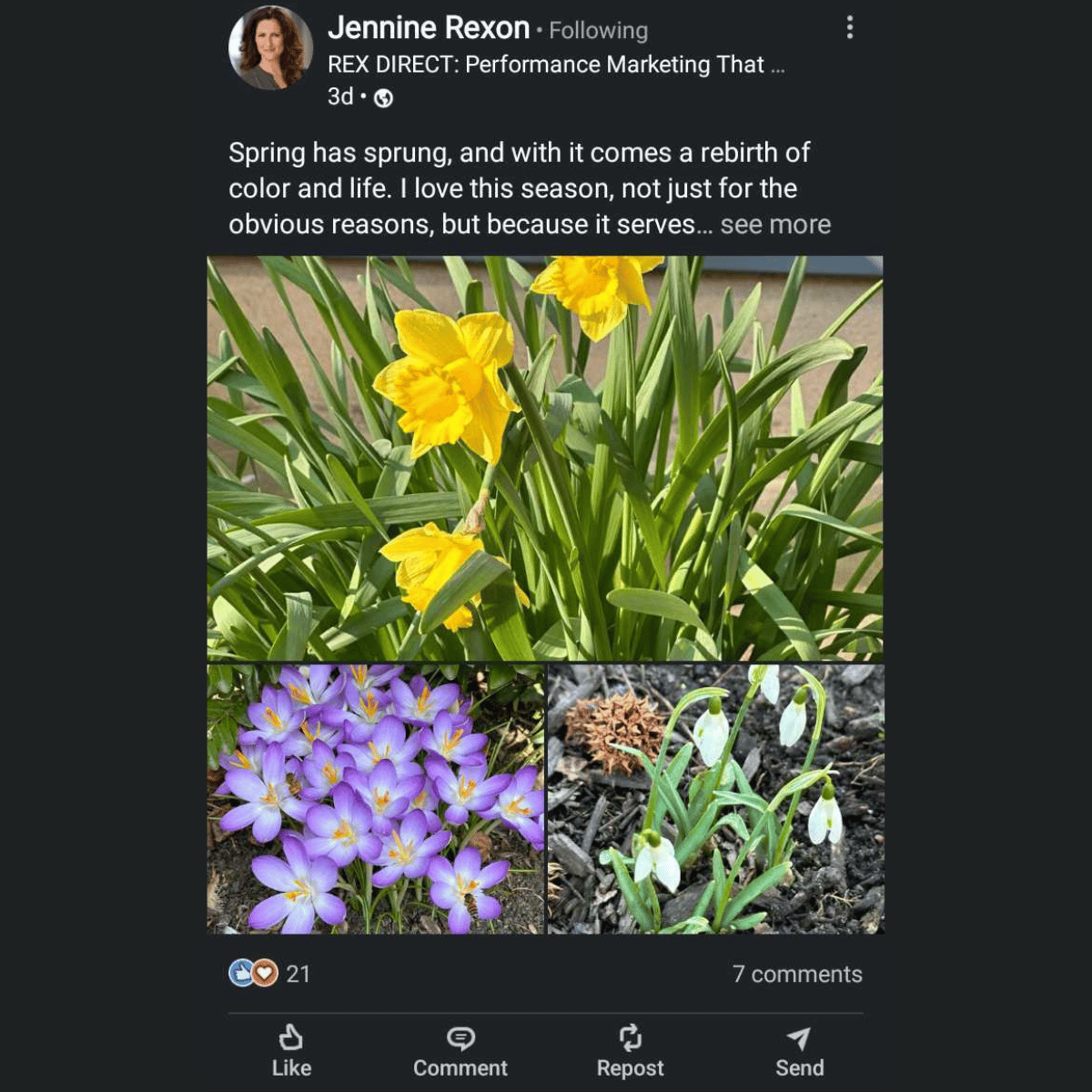 https://www.linkedin.com/posts/rexdirect_springtime-flowers-lessonsfromnature-activity-7176568465724473344-GcLd?utm_source=share&utm_medium=member_desktop