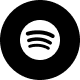 Spotify icon