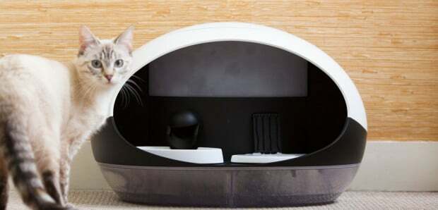 Catspad water connected cat food dispenser