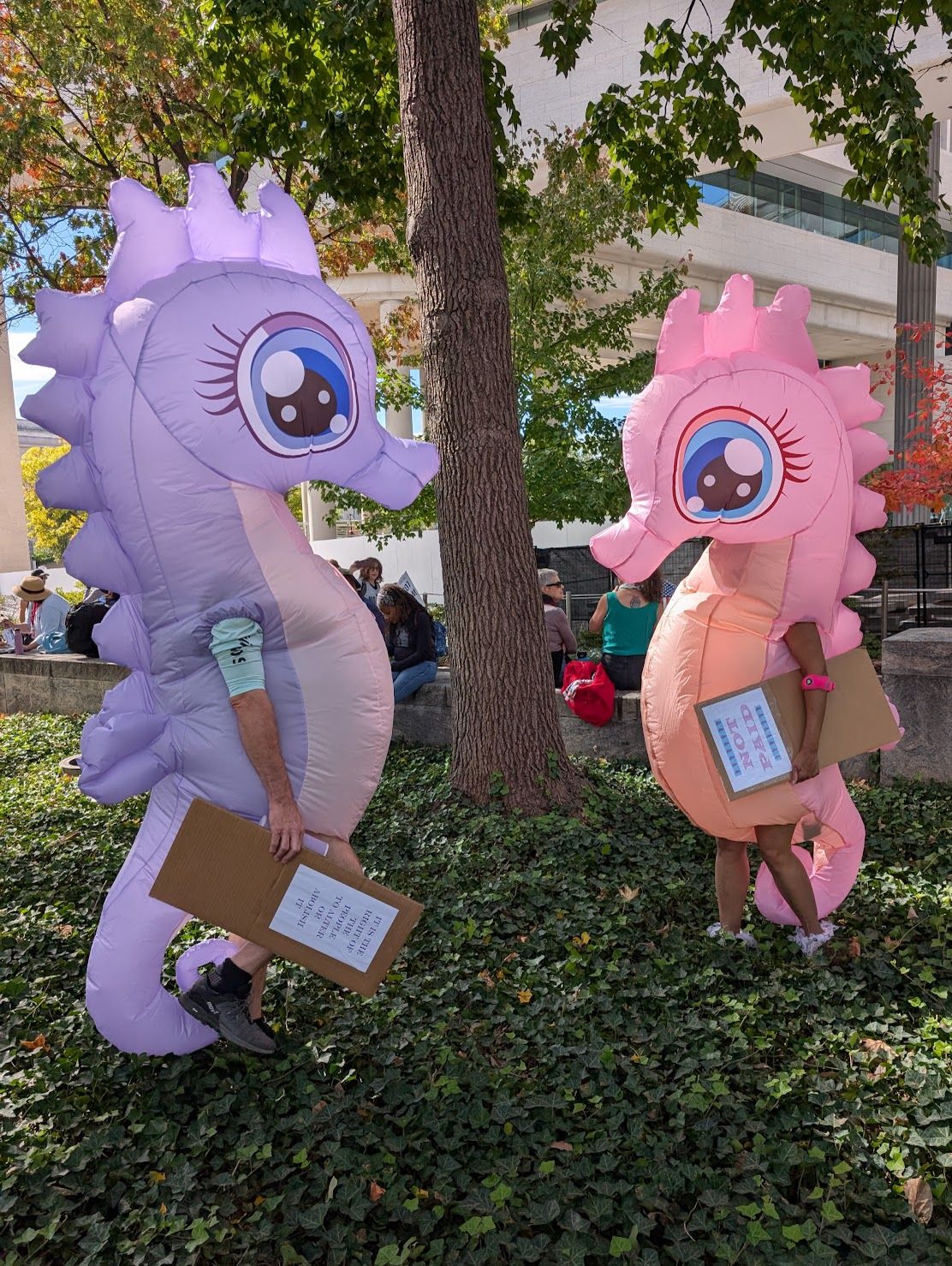 Patriotic seahorses at the No Kings rally, Washington, D.C., October 16, 2025. Credit: Brad Johnson