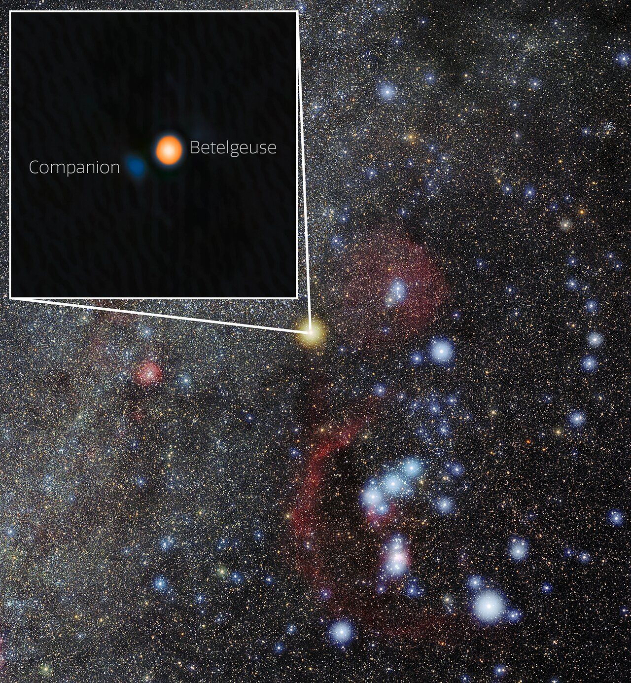 Astronomers using the ‘Alopeke instrument on the Gemini North telescope have identified a tightly orbiting companion star around Betelgeuse, resolving the long-standing mystery of its six-year brightness cycle. The newly detected star is likely an A- or B-type—hot, blue-white, and key to understanding variability in red supergiants.