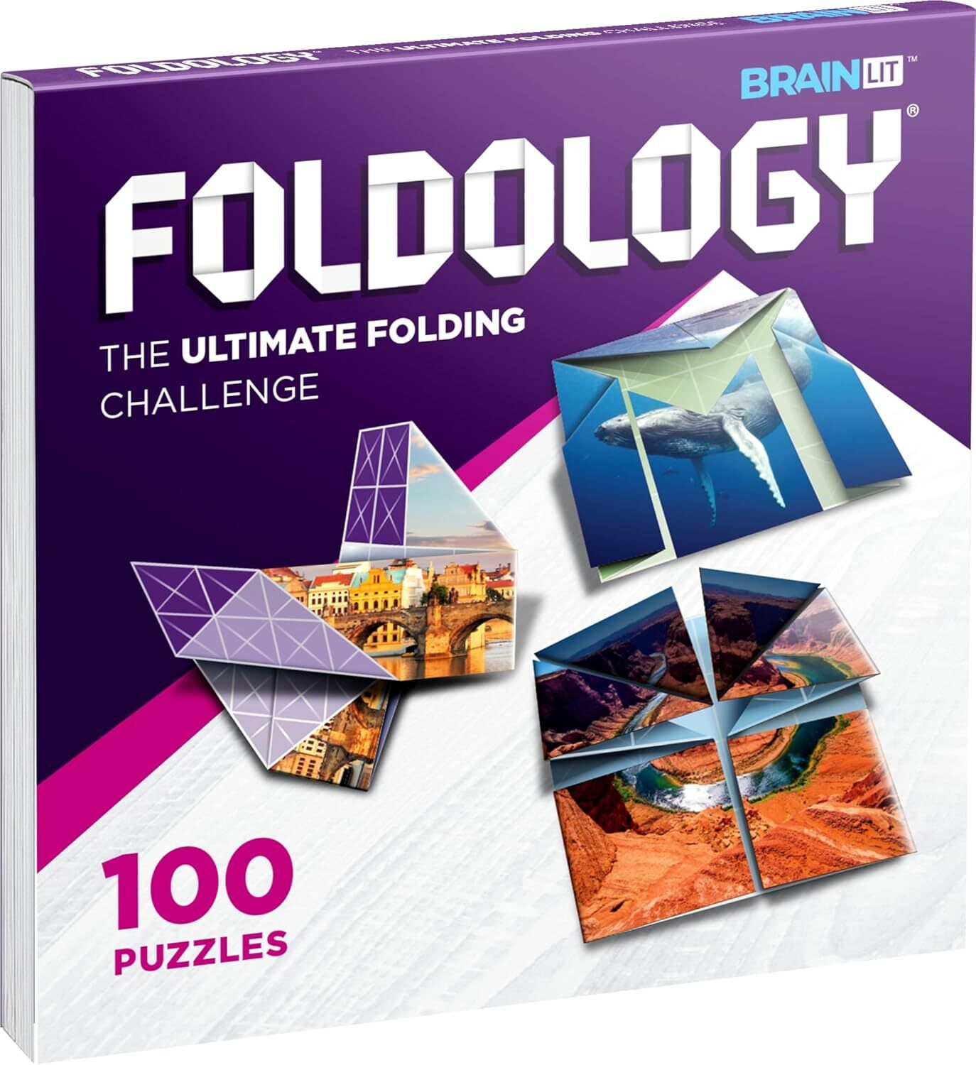 Foldology as an example of the Pounce Pot Protocol for brain health 