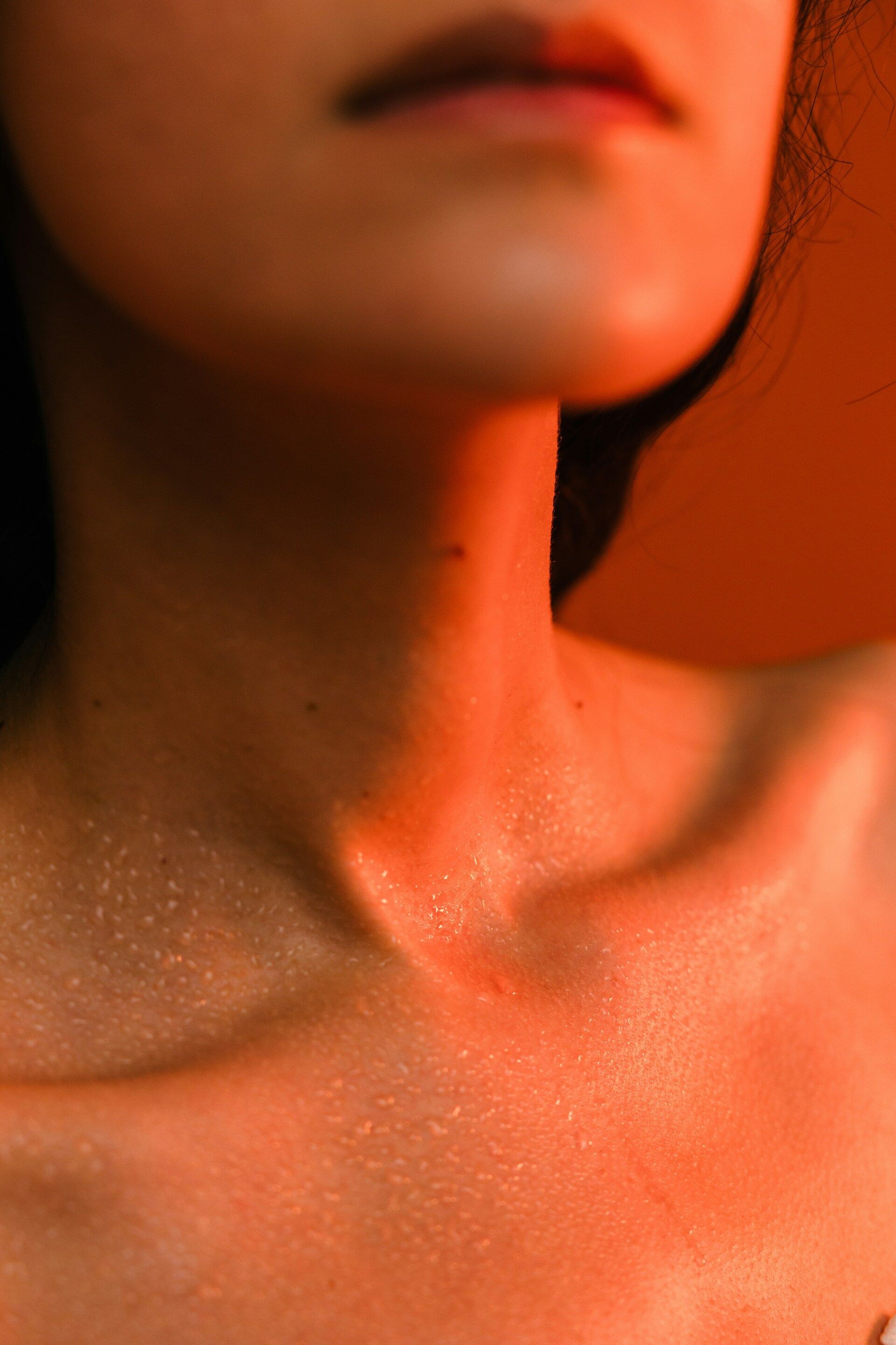 a closeup of a woman's chest and neck