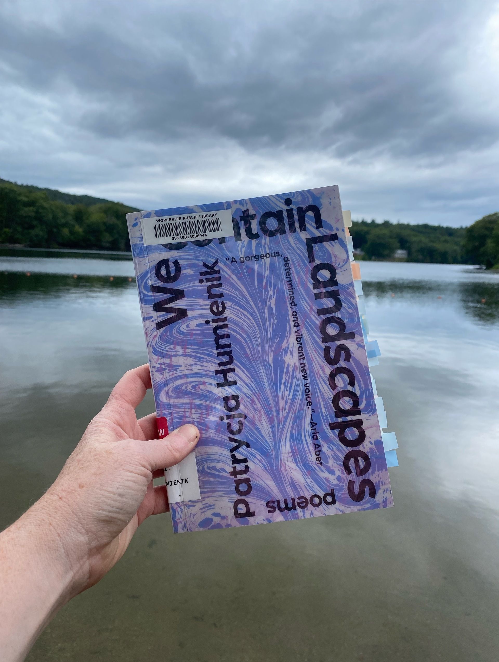 I’m holding this book up in front of a lake on a cloudy day.