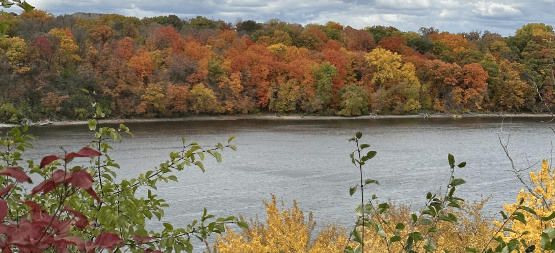 Leaf Peeping Done Right