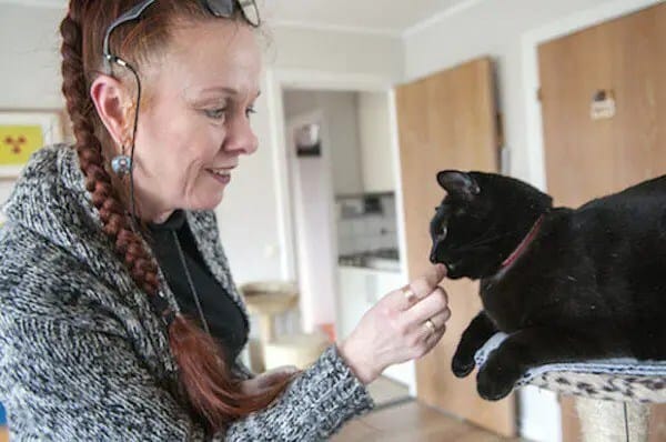cat-language-600x398
