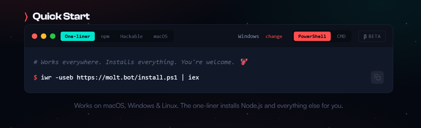 how-to-install-moltbot-1