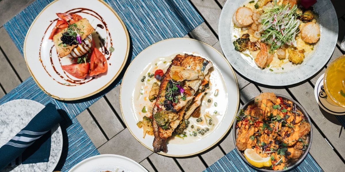 food dishes