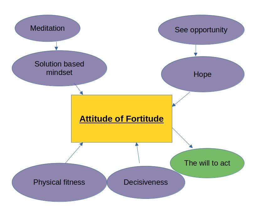 Attitude of Fortitude