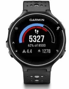 watch displaying gauge