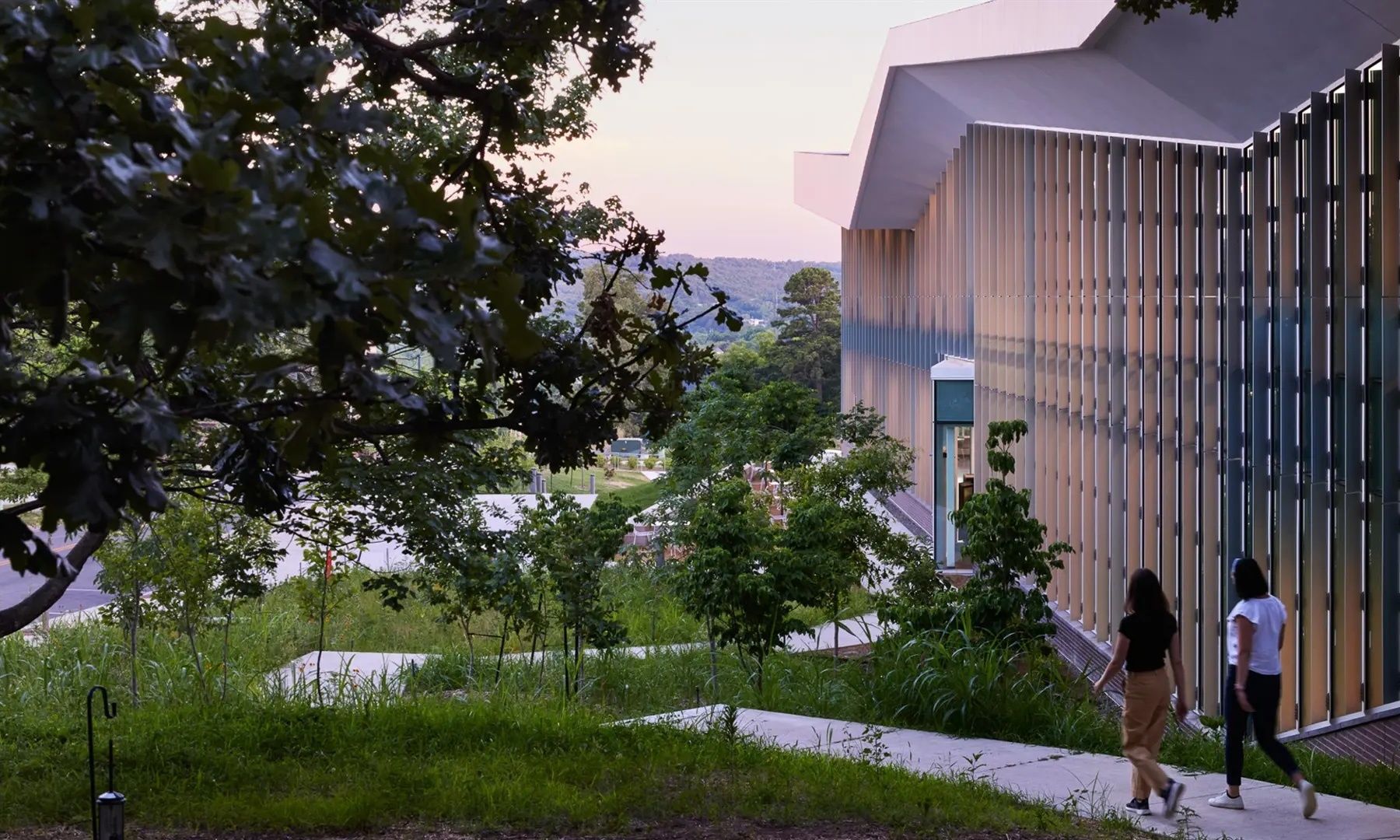 Fayetteville Public Library | MSR Design