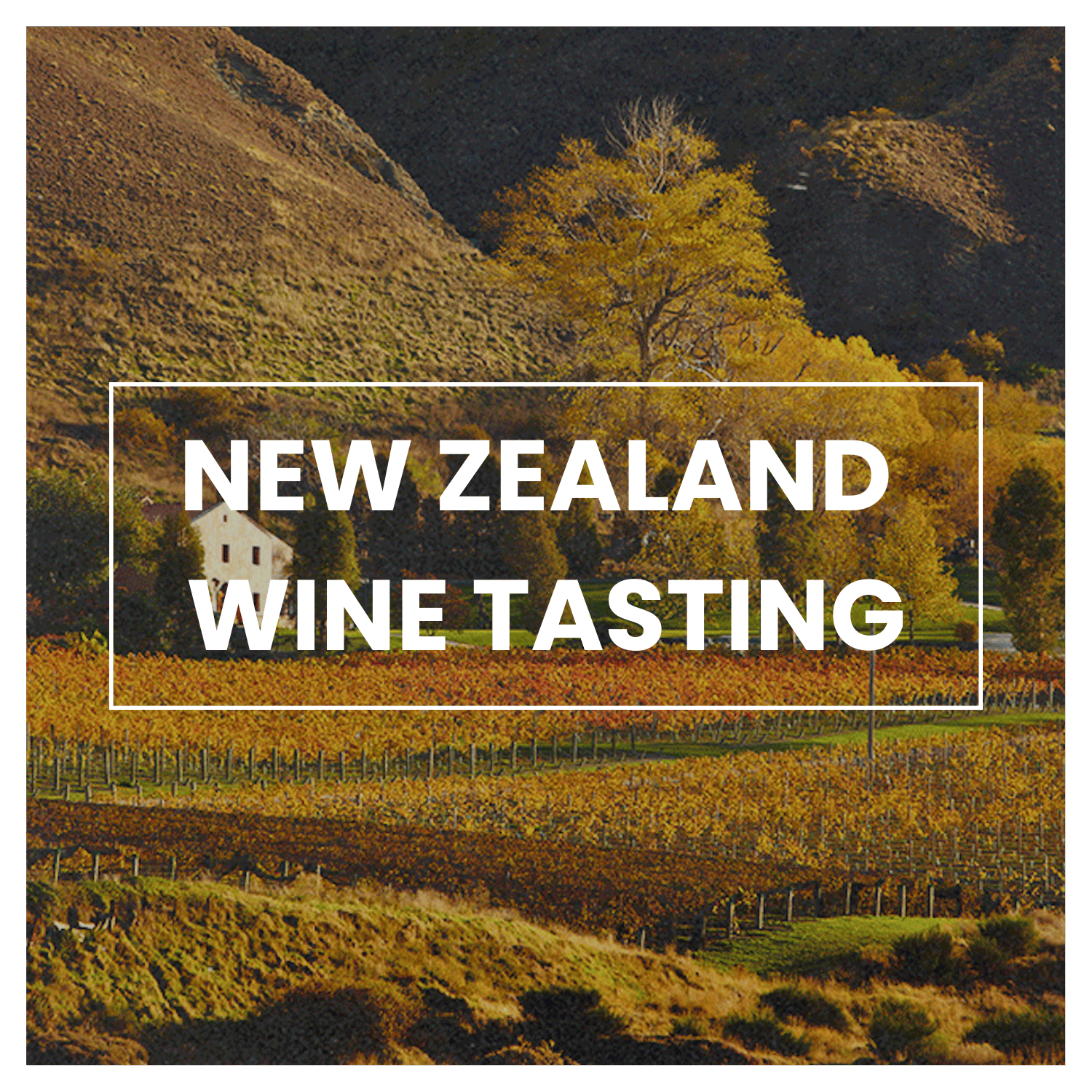 Dream Vacations: New Zealand Coast-to-Coast Wine Tour