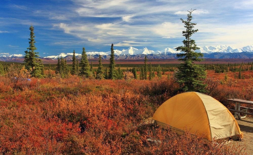 camping tent in Alaska