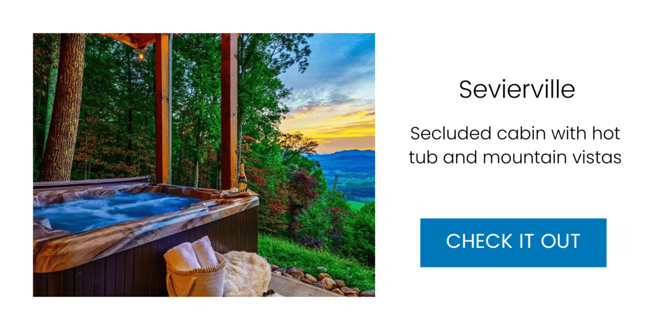 Secluded cabin with hot tub — Sevierville, Tennessee