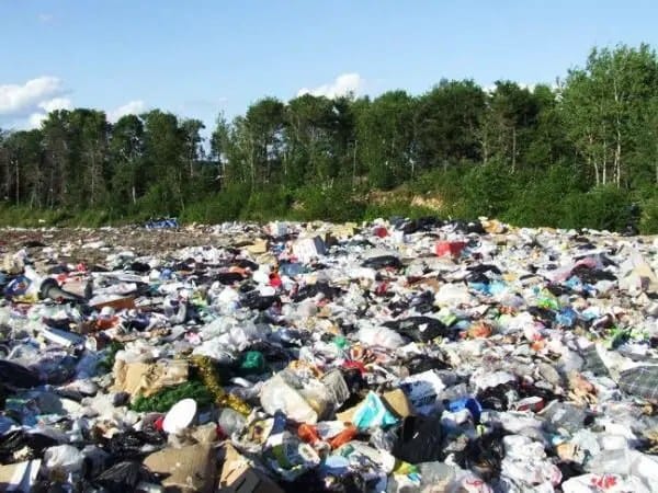 600x450xtrash2-600x450.jpg.pagespeed.ic.fQE8HSI19q